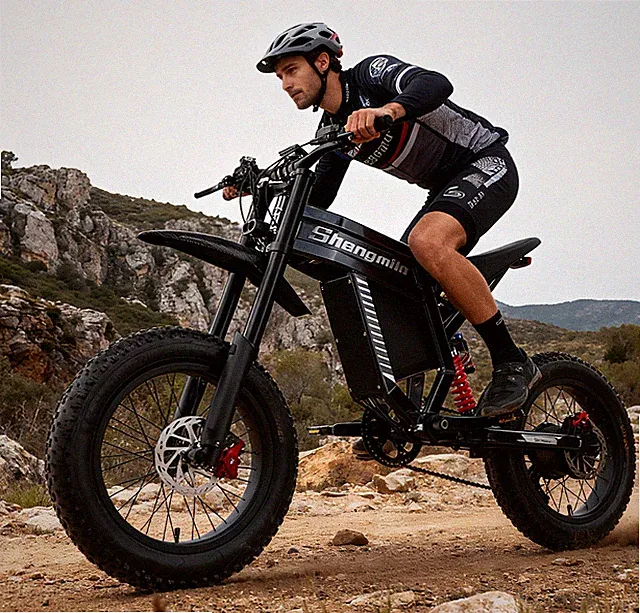 20" Electric Mountain Bike 60V 30Ah Full Suspension Off-Road E-MotorBike