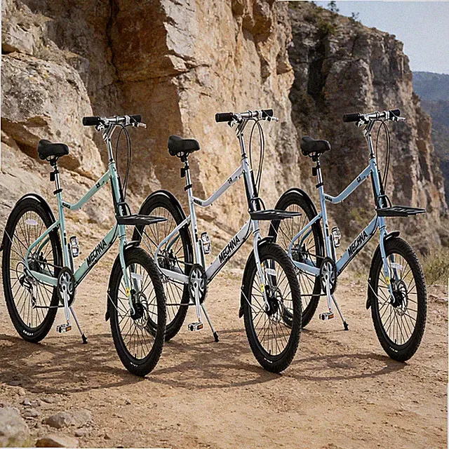 26” Cargo Bike Aluminum Alloy Frame 7 Speed Blue for Men Garden Outdoor Cycling