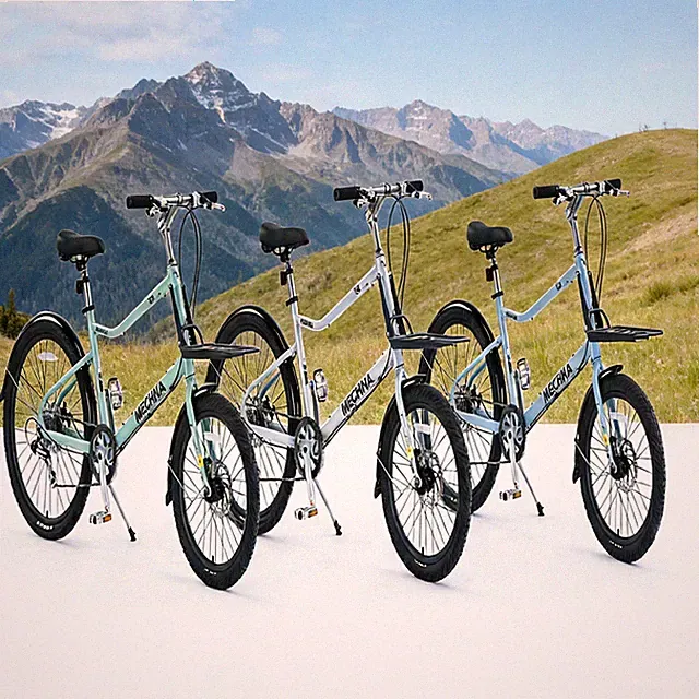 Aluminum Alloy Frame 26 Inch 7 Speed Cargo Bike Blue for Men Garden Outdoor