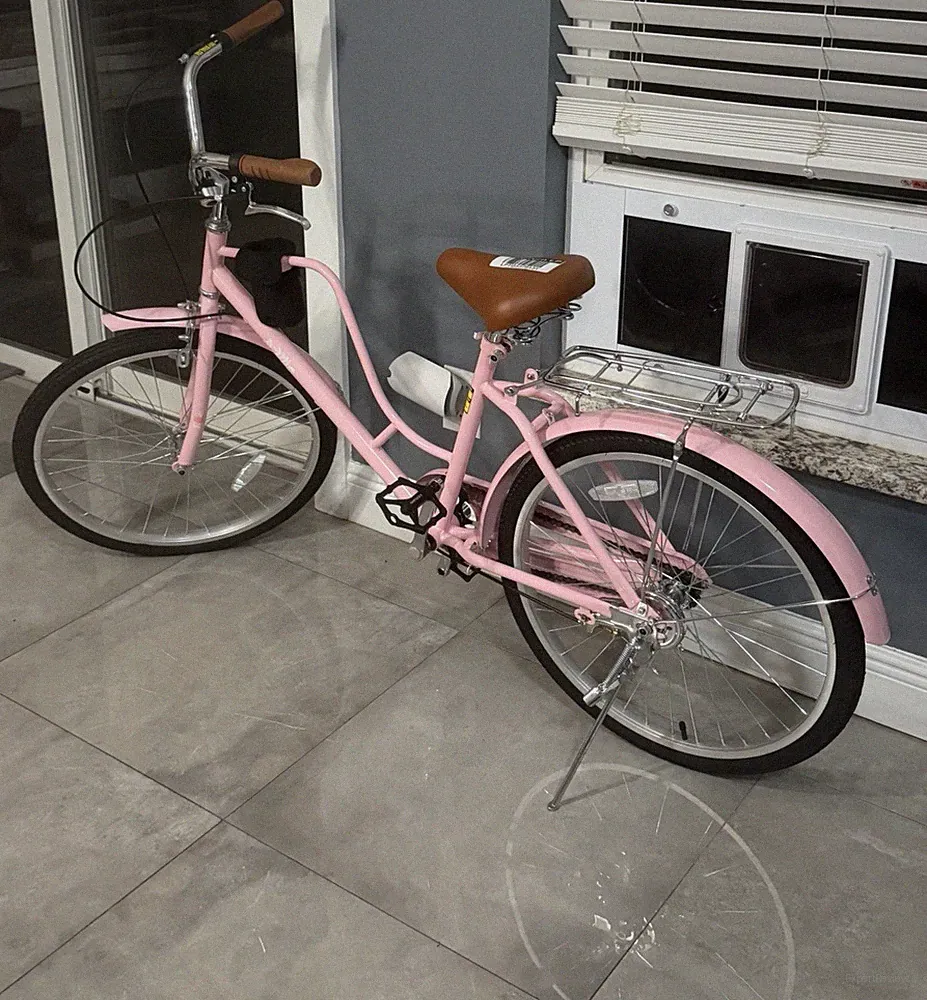 Goplus 24 in Women’s Pink Step-Through Cruiser Bike 1-Speed w/ Rack Fenders