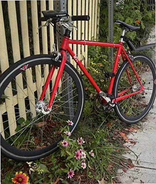 🚲 Sleek Red Single-Speed Urban Bike – Ready to Ride! 🔧🔥